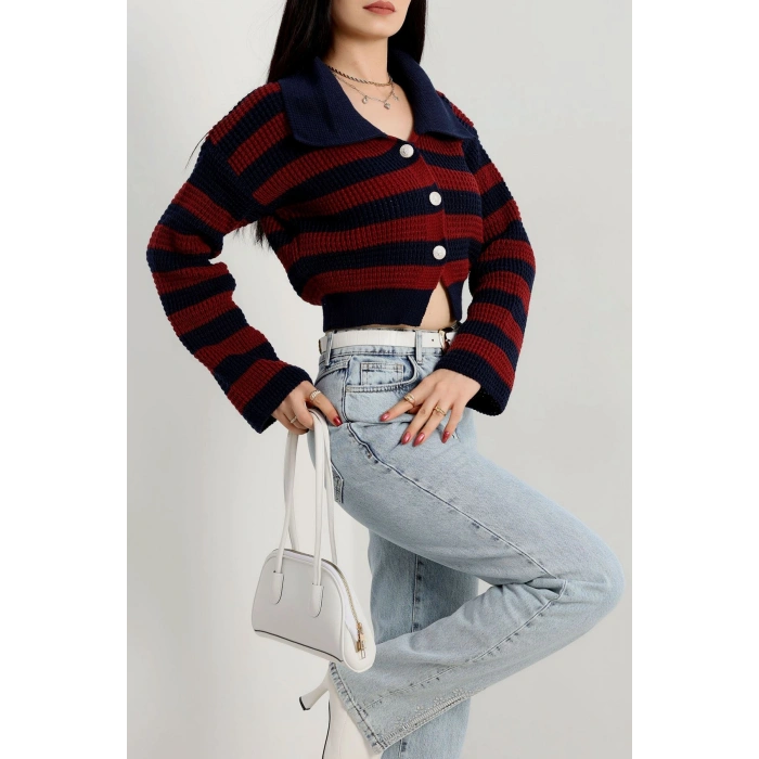 Polo Yaka Çizgili Hırka Lacivertbordo - 1530.1577.