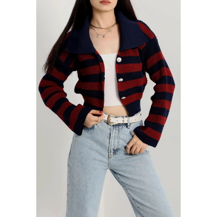 Polo Yaka Çizgili Hırka Lacivertbordo - 1530.1577.