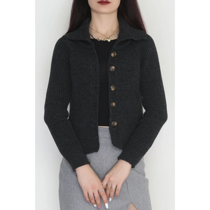 Polo Yaka Triko Hırka Antrasit - 2283.1765.