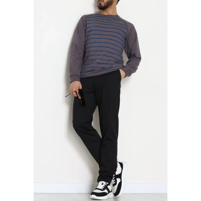Reglan Kol 2 İplik Çizgili Penye Erkek Sweat Füme - 25384.2125.