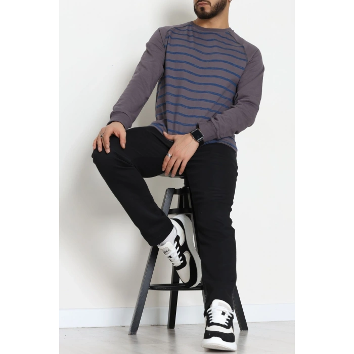 Reglan Kol 2 İplik Çizgili Penye Erkek Sweat Füme - 25384.2125.