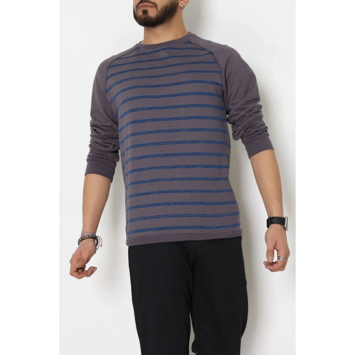 Reglan Kol 2 İplik Çizgili Penye Erkek Sweat Füme - 25384.2125.