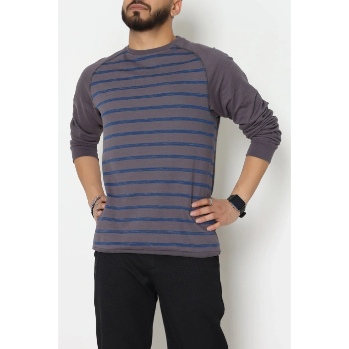 Reglan Kol 2 İplik Çizgili Penye Erkek Sweat Füme - 25384.2125.