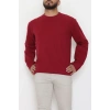 Bisiklet Yaka Selanik Kumaş Erkek Sweat Bordo - 42674.1567.