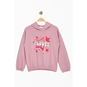 2 İp Şardonlu Baskılı Kapüşonlu 8-12 Yaş Sweat Pembe - 725432.1576.