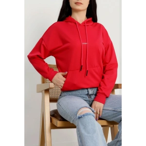 2 İplik Kapşonlu Baskılı Sweatshirt Fuşya - 31316.1878.