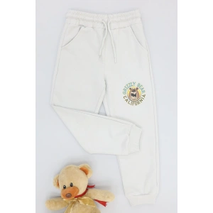 6-9 Yaş 2 İplik Şardonsuz Eşofman Altı Gri - 2260015.1576.