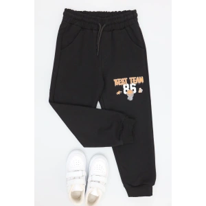 6-9 Yaş 2 İplik Şardonsuz Eşofman Altı Siyah - 2260011.1576.