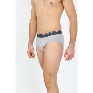 Moda Çizgi Erkek Pamuk Likralı Slip Gri 40132
