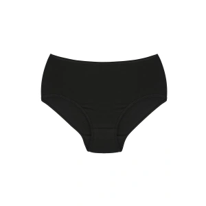 Moda Çizgi Kadın Büyük Beden Külot Siyah 40264