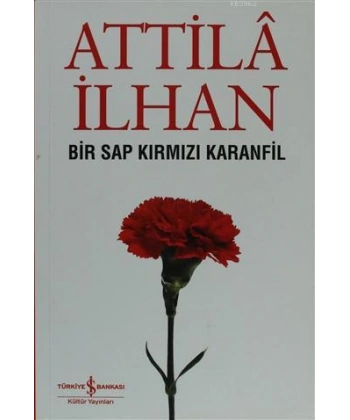 Bir Sap Kırmızı Karanfil Cumhuriyet Söyleşileri (Eylül 96 - Mart 97)