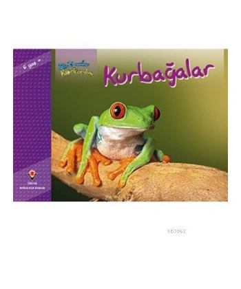 Bir Zamanlar Korkardım - Kurbağalar