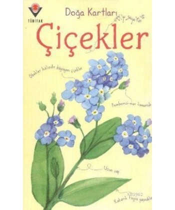 Doğa Kartları - Çiçekler