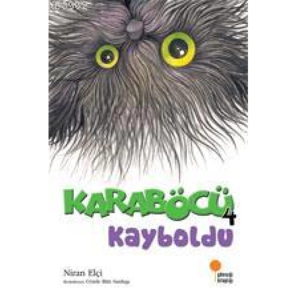 Karaböcü 4 - Kayboldu