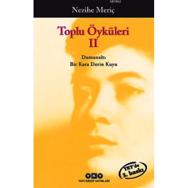 Toplu Öyküleri 2; Bütün Yapıtlarına Doğru