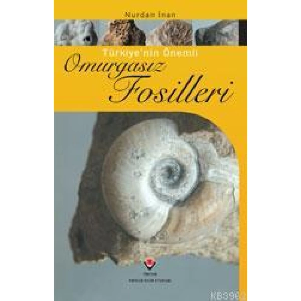 Türkiye´nin Önemli Omurgasız Fosilleri