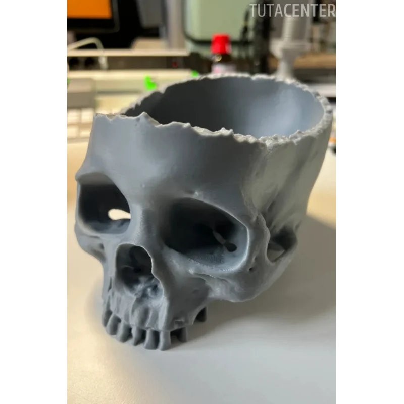 KURU KAFA ( KAFA TASI ) ŞEKER KASESİ