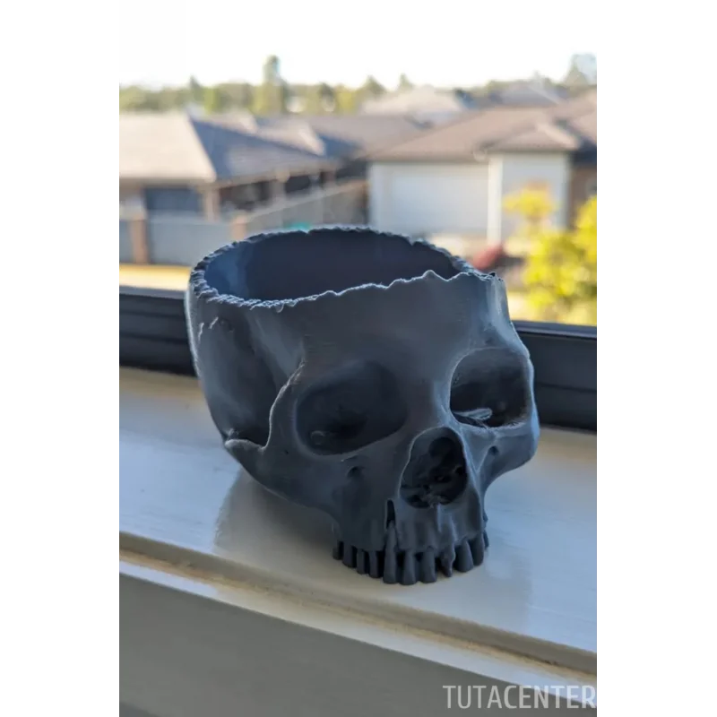 KURU KAFA ( KAFA TASI ) ŞEKER KASESİ