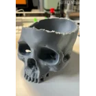 KURU KAFA ( KAFA TASI ) ŞEKER KASESİ