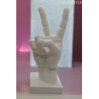 ZAFER ELİ BİBLO – Barış ve Gücün Sembolü