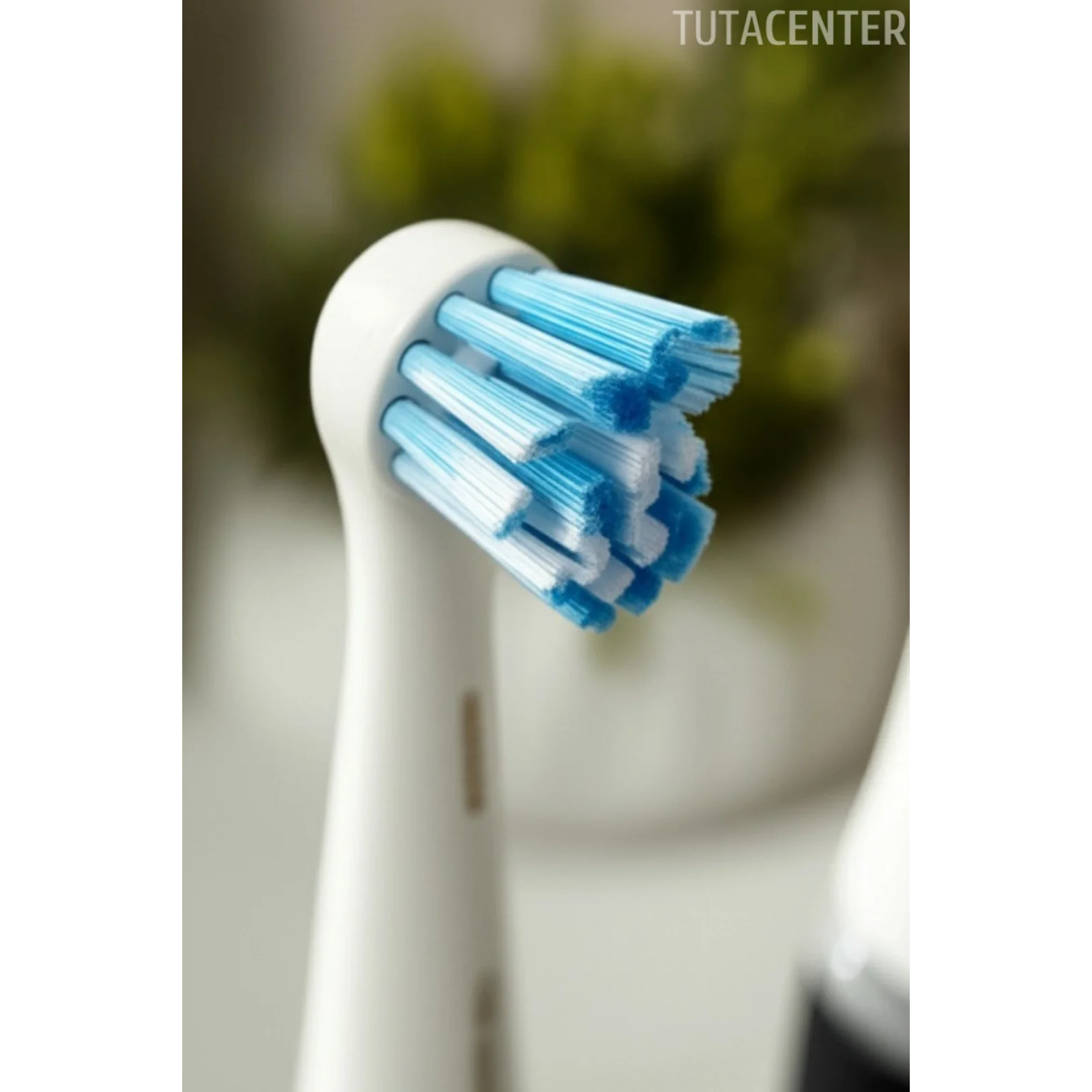 Tahliyeli Elektrikli Diş Fırçası Tutucu (Şarjlı Diş Fırçası Tutucu Stand 2 Bölmeli)