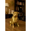 Pug Köpek Dekoratif Biblo - Gold (Altın Renk) 20CM - PLASTİK Premium Biblo Modeli