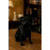 Pug Köpek Dekoratif Biblo - (Siyah Renk) 20CM - PLASTİK Premium Biblo Modeli
