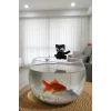 Balık Tutan Kedi Fanus Aksesuarı | Fanus Uyumlu Dekoratif Kedi Figürü | Mini Sevimli Fanus Dekoru