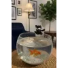 Balık Tutan Kedi Fanus Aksesuarı | Fanus Uyumlu Dekoratif Kedi Figürü | Mini Sevimli Fanus Dekoru