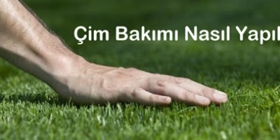 Çim Bakımı Nasıl Yapılır?