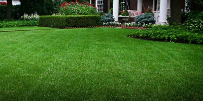 Çim Ekimi Nasıl Yapılır?