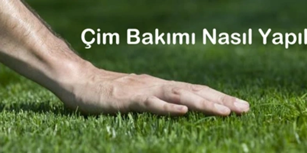 Çim Bakımı Nasıl Yapılır?