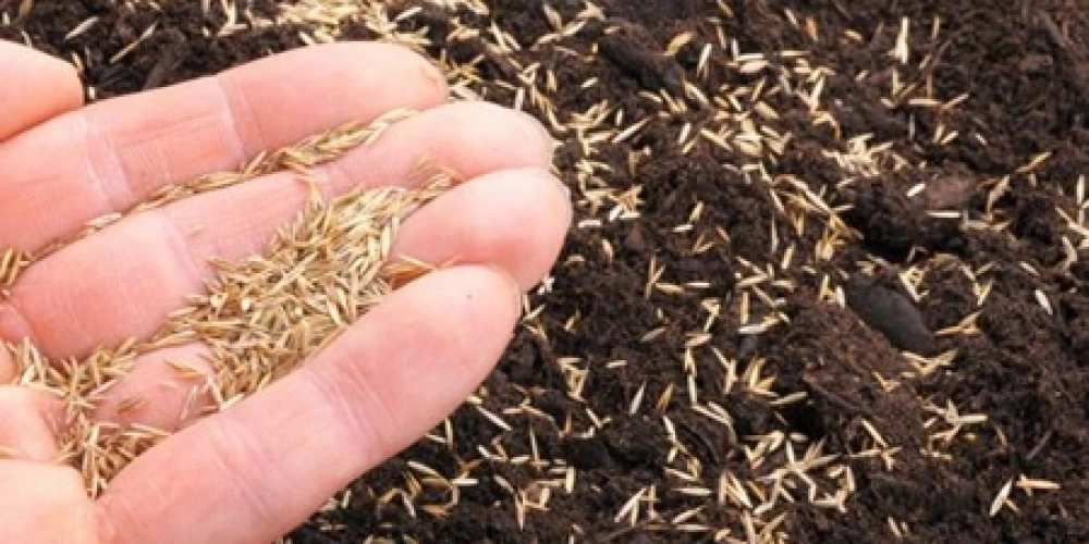 Çim Ekilecek Toprak Nasıl Olmalıdır?