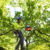 Echo CS 2511 TES Motorlu Dal Budama Testeresi