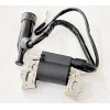 ELEKTRONİK BOBİN HONDA GX 120 160 200 WM168,PA065