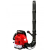 FERRİNO BLOWER YAPRAK ÜFLEME MAKİNESİ 5.5 HP ELDEN GAZLI