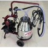 FERRİNO KURU TEK SAĞIM C30 KROM GÜĞÜM SABİT