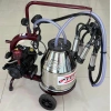 FERRİNO TEK SAĞIM YAĞLI C30 KROM GüĞÜM SABİT