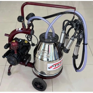 FERRİNO KURU TEK SAĞIM C30 KROM GÜĞÜM SABİT