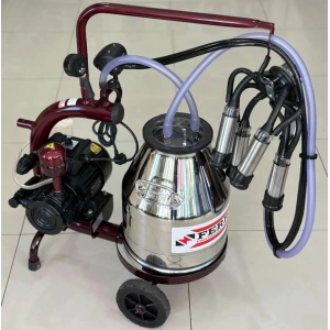 FERRİNO TEK SAĞIM YAĞLI C30 KROM GüĞÜM SABİT