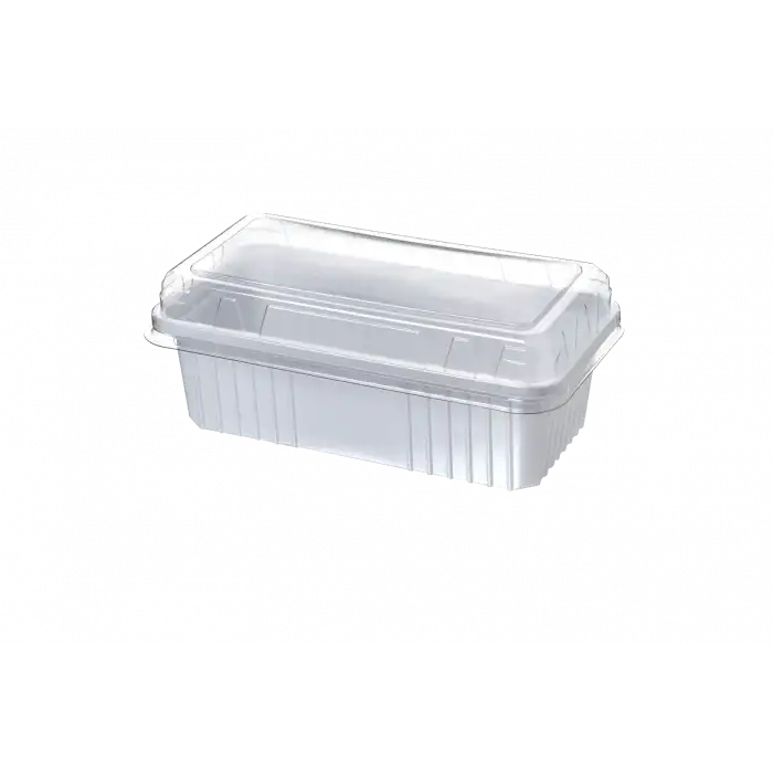 1000CC Dondurma Kabı