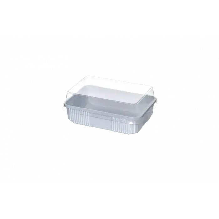 250CC Dondurma Kabı (1500Adet)