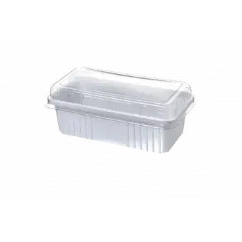 1000CC Dondurma Kabı