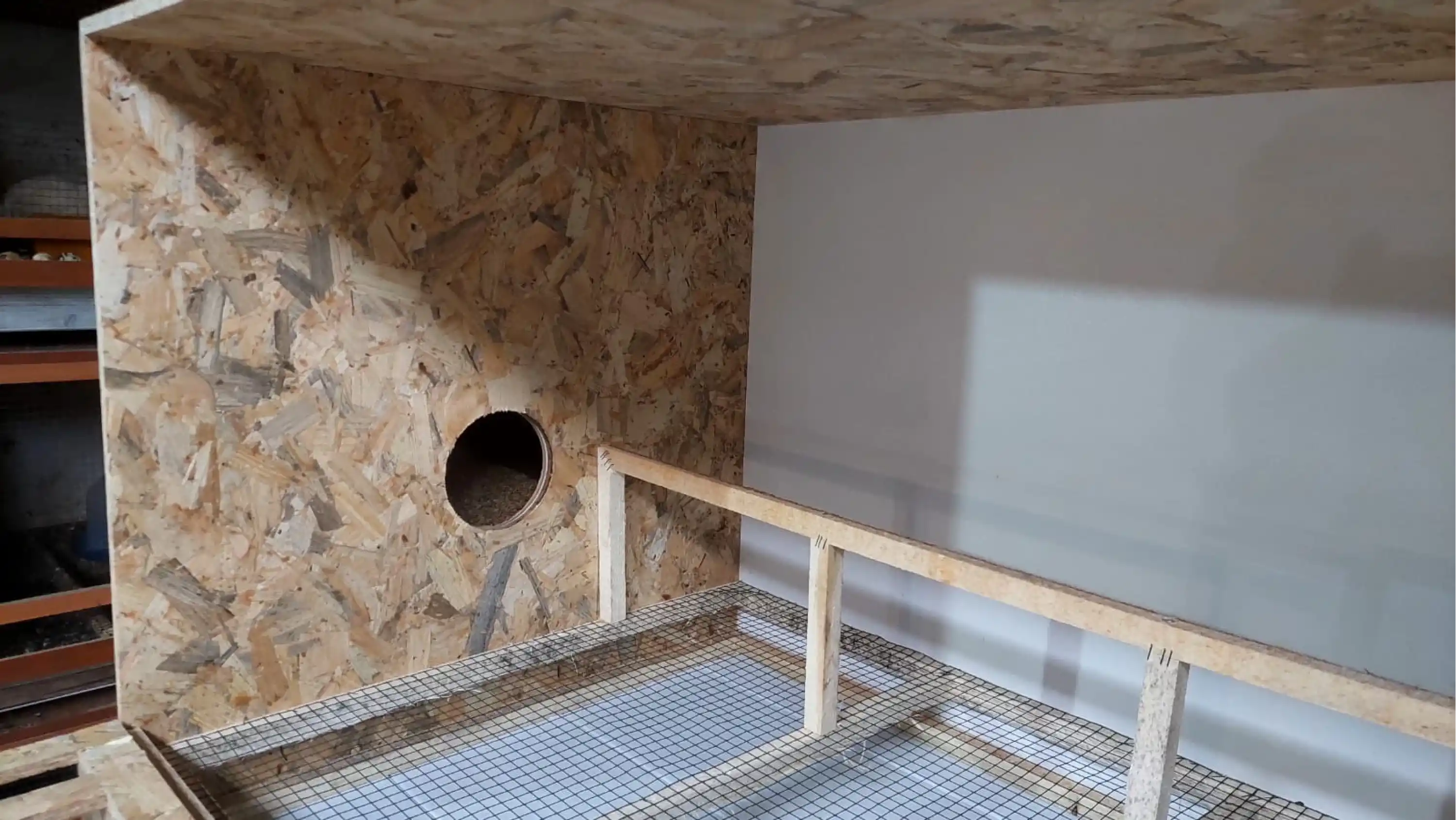 Asil Bantam & Cüce Irk Damızlık Kafesi - OSB - 100*70*60