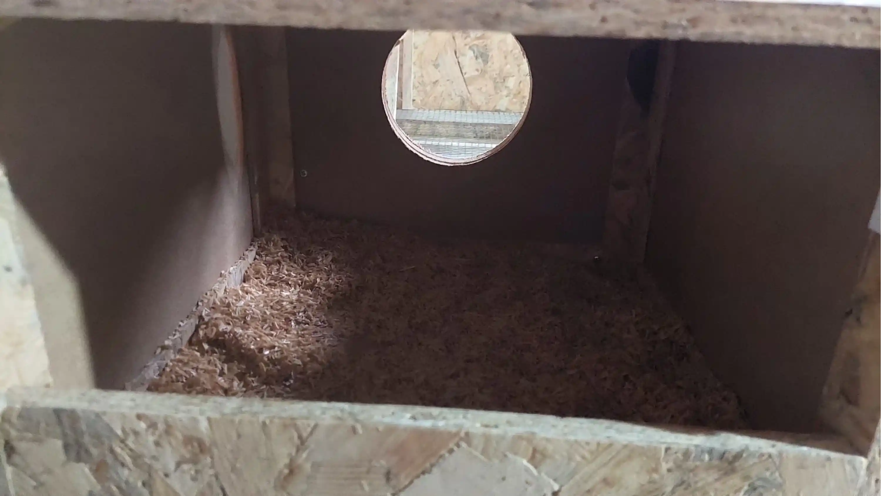 Asil Bantam & Cüce Irk Damızlık Kafesi - OSB - 100*70*60