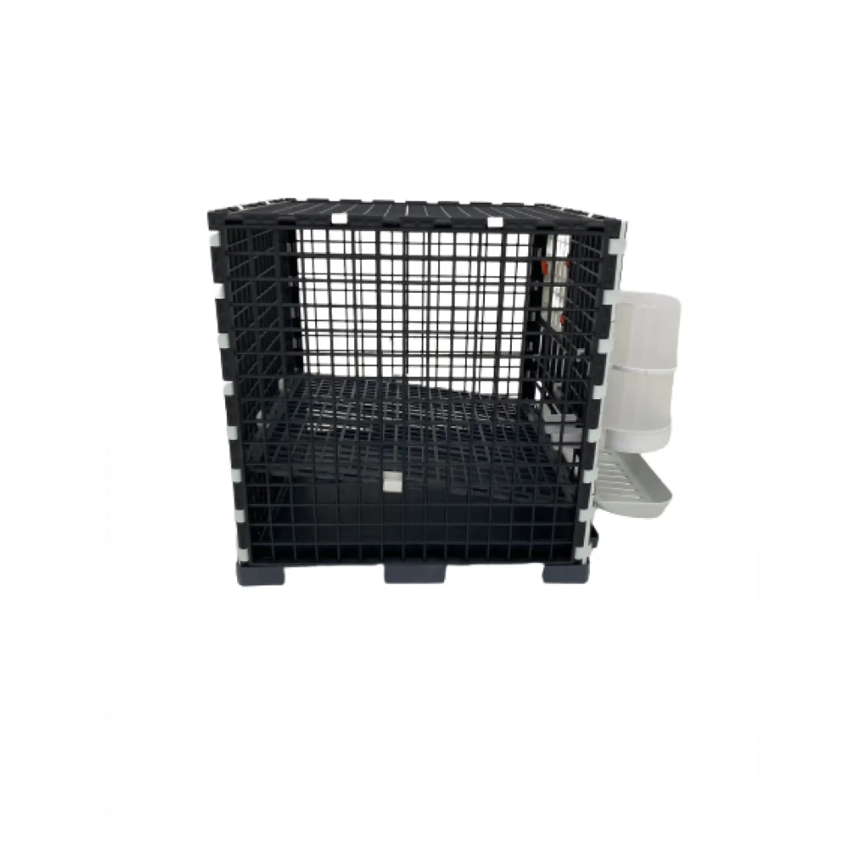 Bıldırcın Kafesi - Mini - Plastik