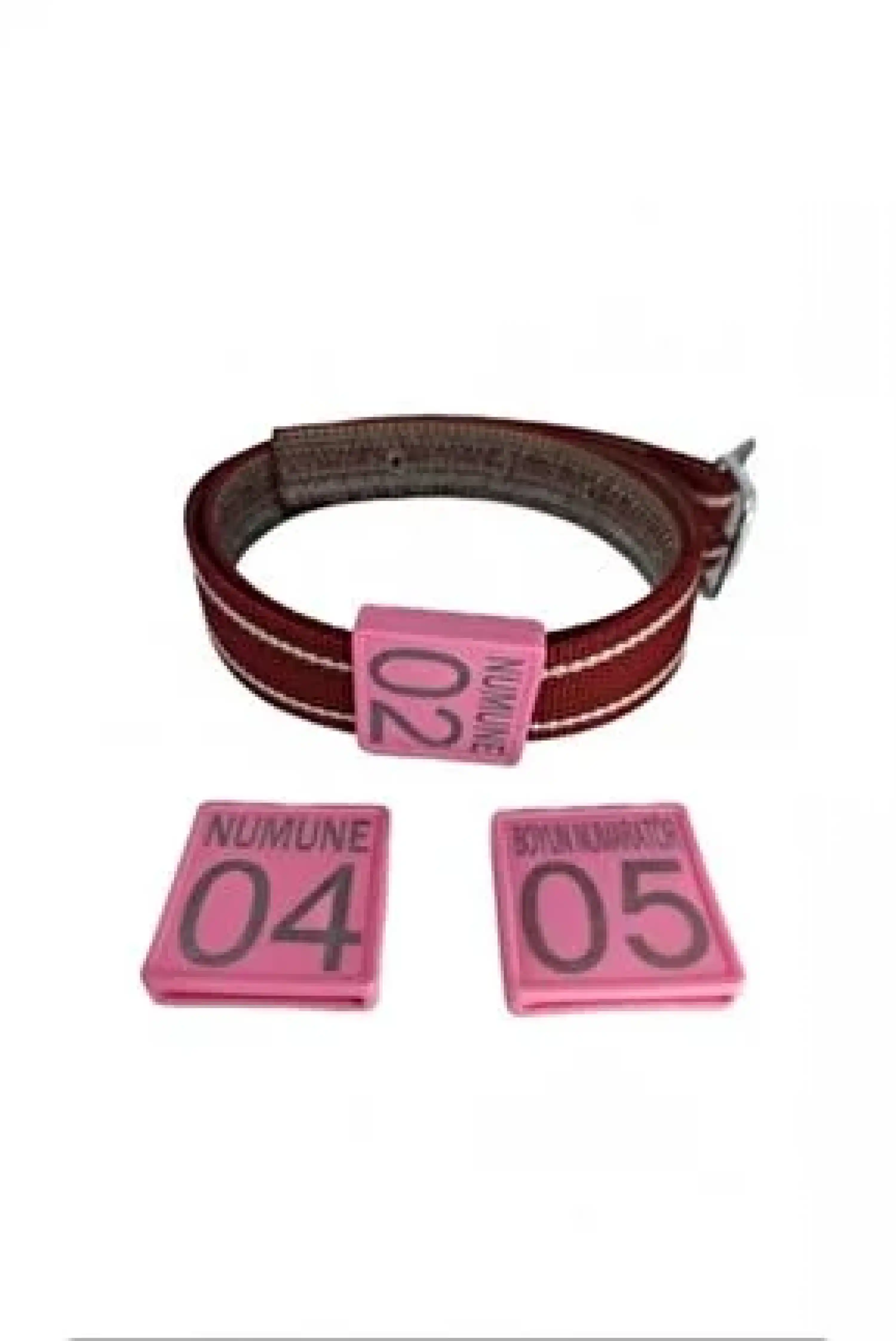 Küçükbaş için Boyunluk Numaratör + Kemer