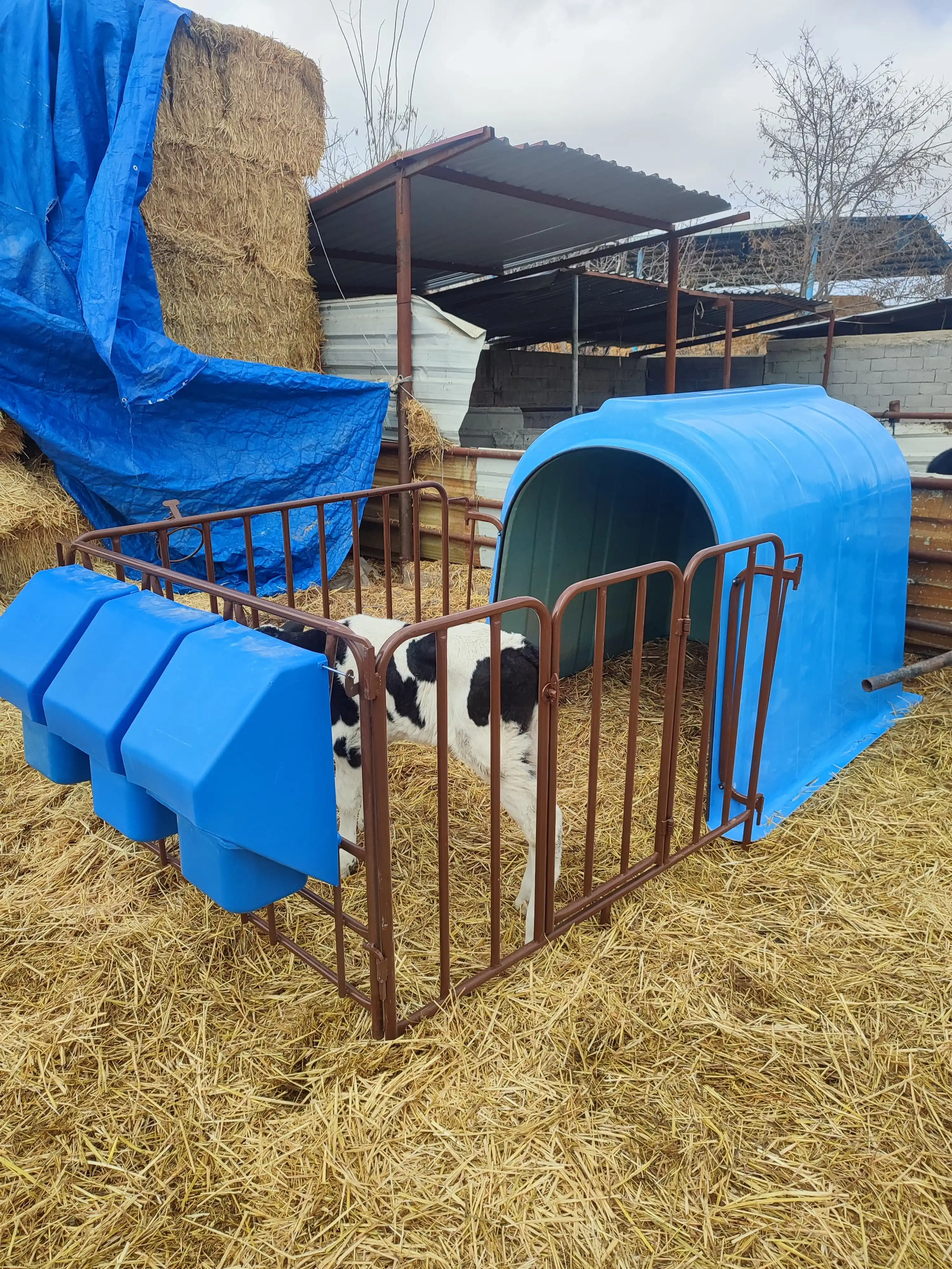 Calfimo Buzağı Kulübesi – Fiberglass (Sadece Kulübe)