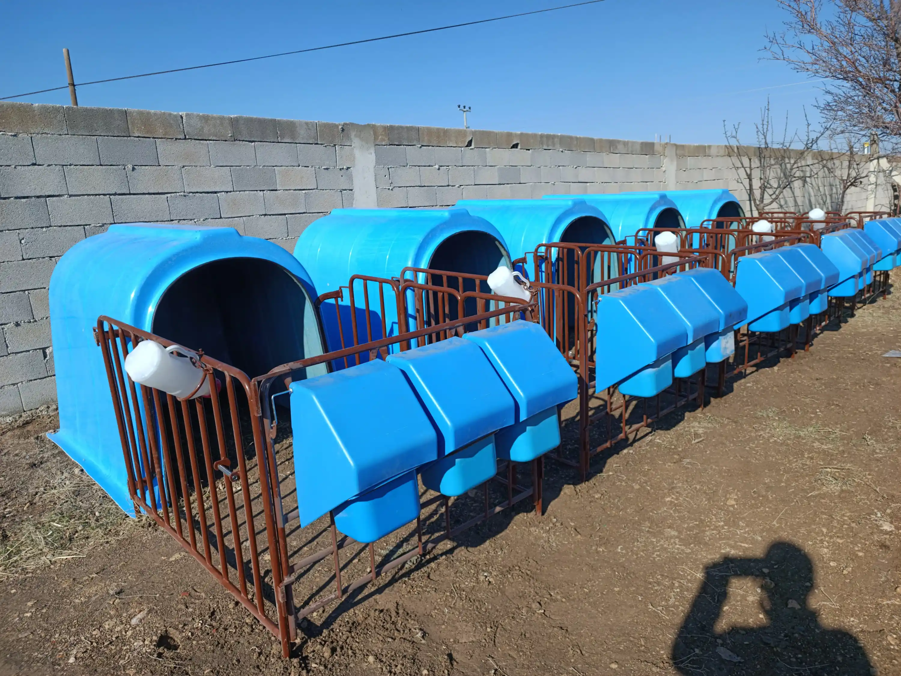 Calfimo Çitli Takım Buzağı Kulübesi – Fiberglass | 3 Yemlik + 3 Gölgelik & Yağmurluk Aparat + 1 Biberon