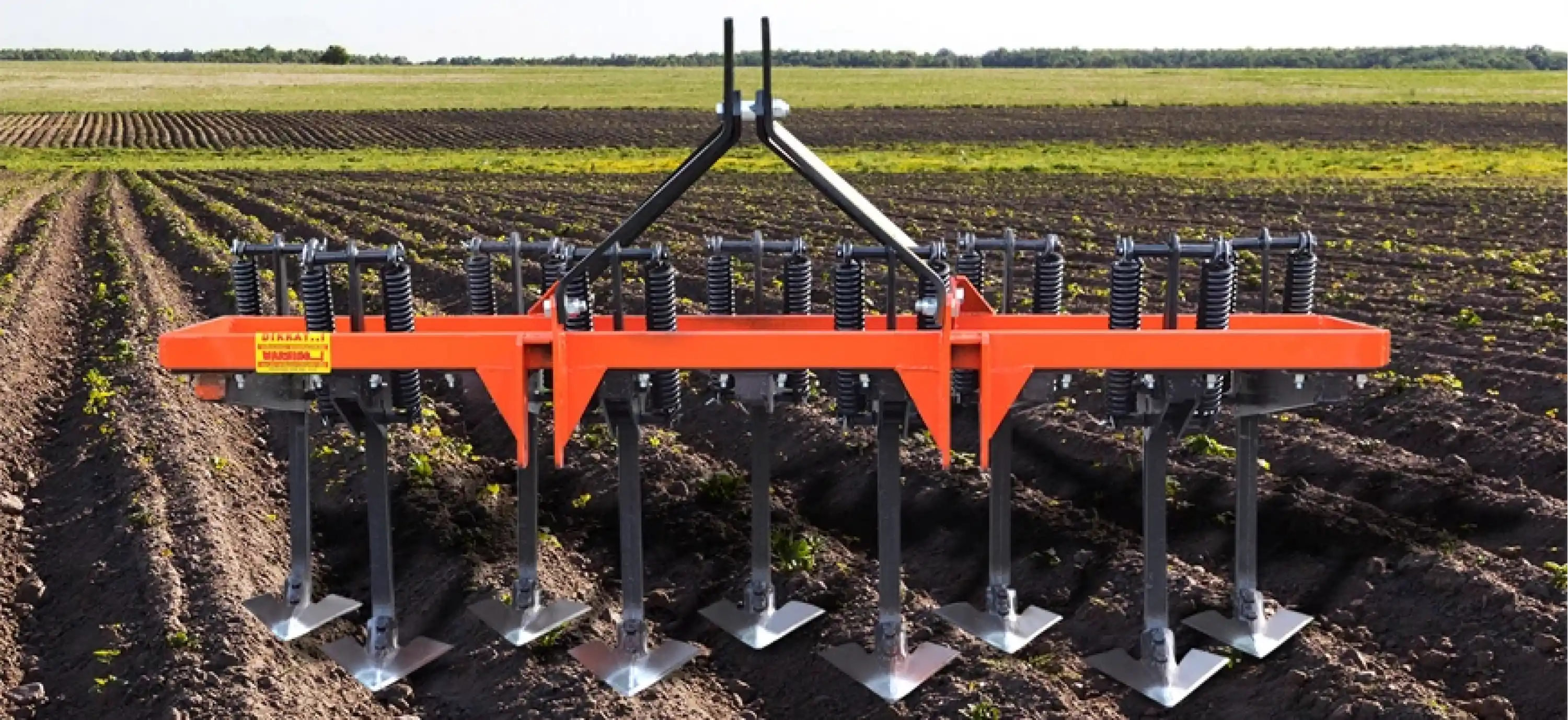 Doğanşahin DSK Kültivatör - Kazayağı